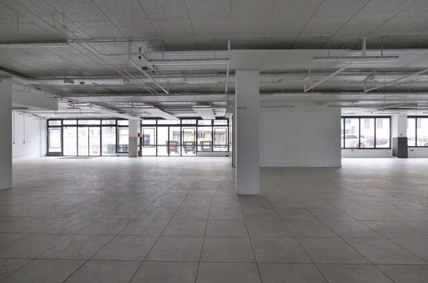 Gewerbeobjekt mieten in 1130 Wien (Bild 5)