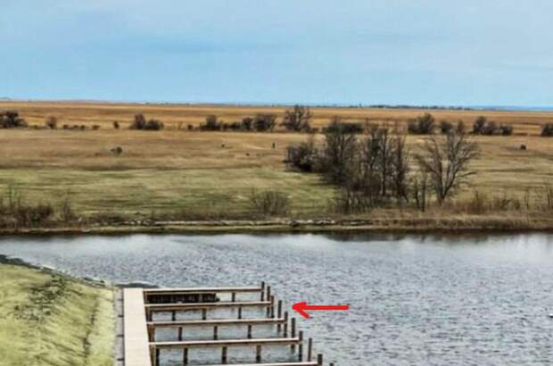 Halle / Lager / Produktion mieten in 7063 Oggau (Bild 2)