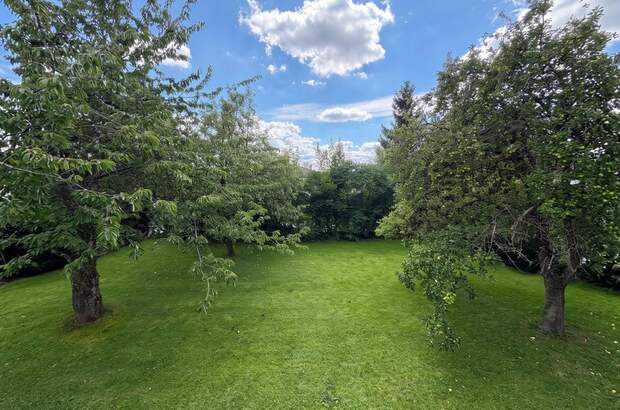 Einfamilienhaus kaufen in 4910 Ried (Bild 3)