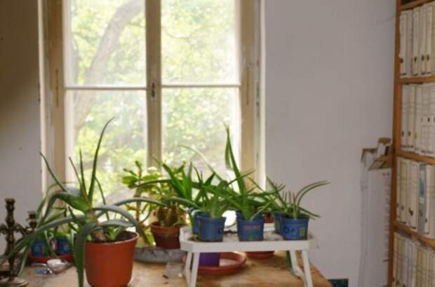 Altbauwohnung kaufen in 3002 Purkersdorf (Bild 4)