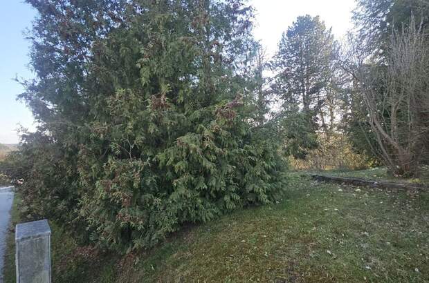 Grundstück kaufen in 8062 Kumberg (Bild 2)