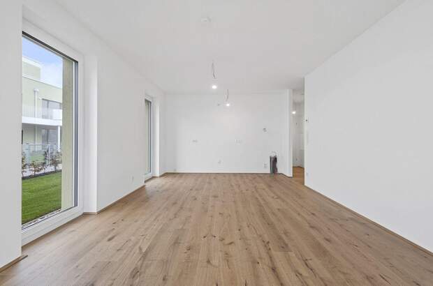 Anlageobjekt kaufen in 2540 Bad Vöslau (Bild 5)