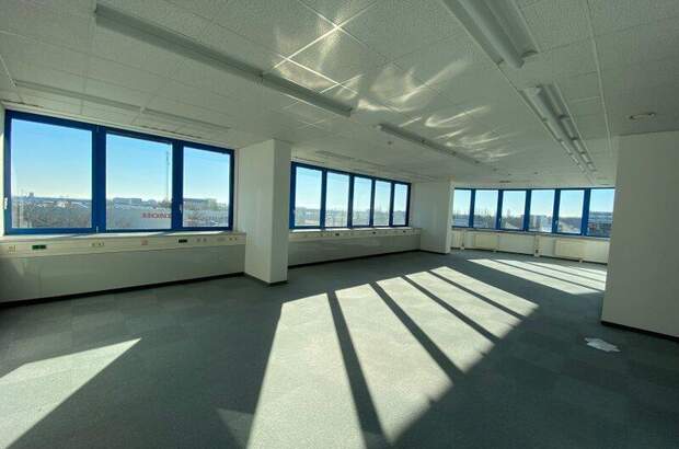 Büro / Praxis mieten in 2351 Wr. Neudorf (Bild 2)