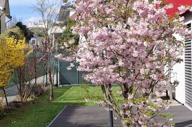 Wohnung mieten in 5020 Salzburg (Bild 3)