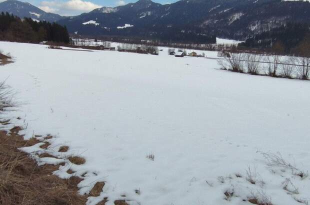 Grundstück kaufen in 9771 Berg (Bild 4)