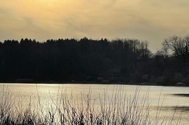 Haus kaufen in 5202 Neumarkt (Bild 2)