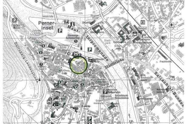 Gewerbeobjekt mieten in 5400 Hallein (Bild 4)