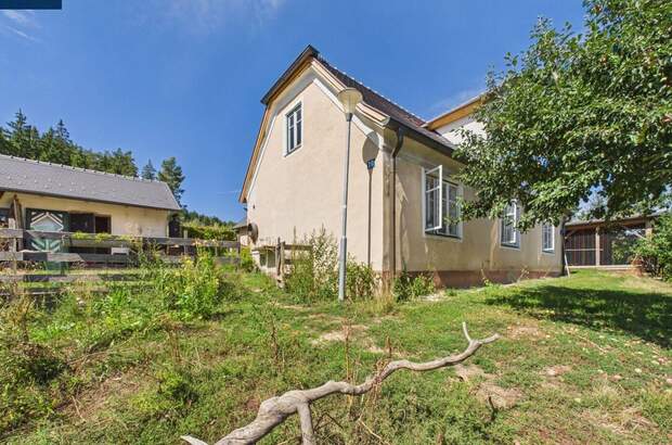 Haus mit Garten kaufen in 3844 Waldkirchen (Bild 4)