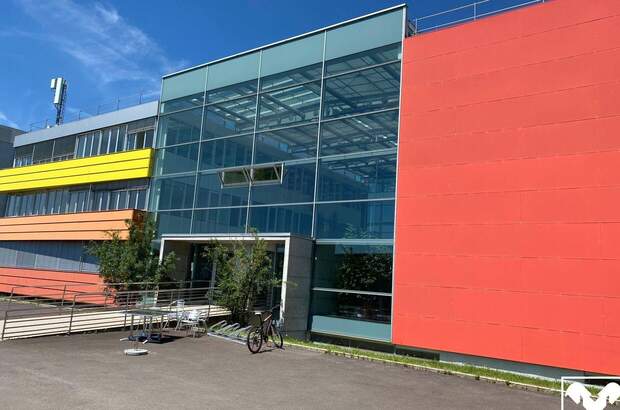 Gewerbeobjekt mieten in 4232 Hagenberg (Bild 4)