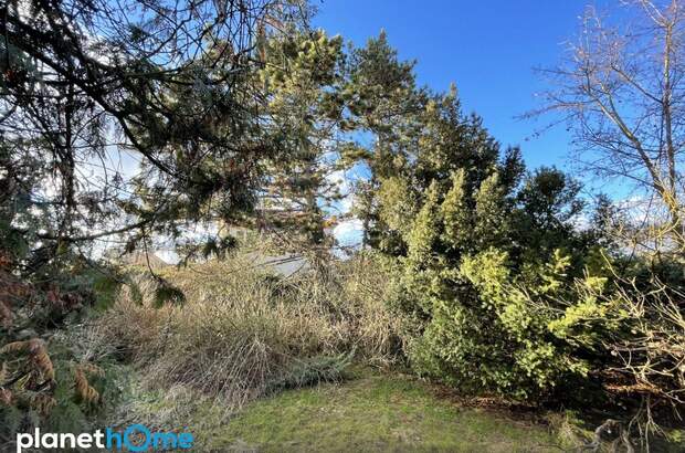 Grundstück kaufen in 1220 Wien (Bild 4)