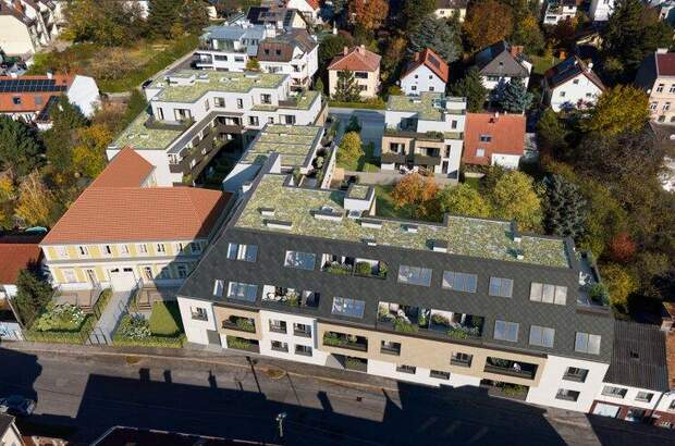 Terrassenwohnung kaufen in 1100 Wien (Bild 5)