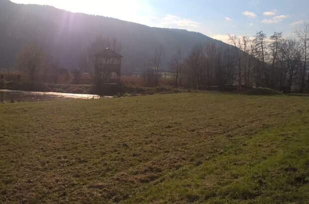 Grundstück kaufen in 9552 Steindorf (Bild 5)