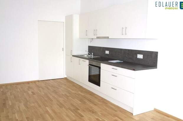 Terrassenwohnung mieten in 2500 Baden (Bild 1)