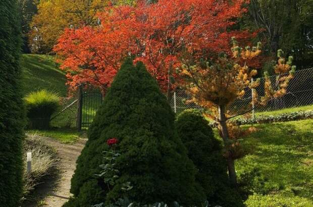 Haus mit Garten kaufen (Bild 5)