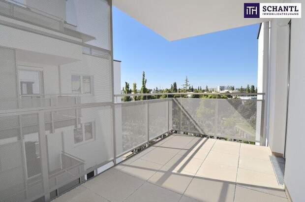 Terrassenwohnung mieten in 2320 Schwechat (Bild 1)