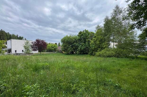 Grundstück kaufen in 4201 Eidenberg (Bild 4)