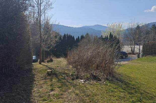 Grundstück kaufen in 2733 Grünbach (Bild 3)