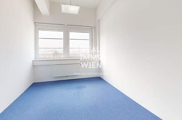 Gewerbeobjekt mieten in 2514 Traiskirchen (Bild 4)