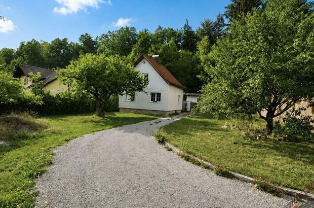 Haus mit Garten mieten in 3163 Rohrbach (Bild 3)