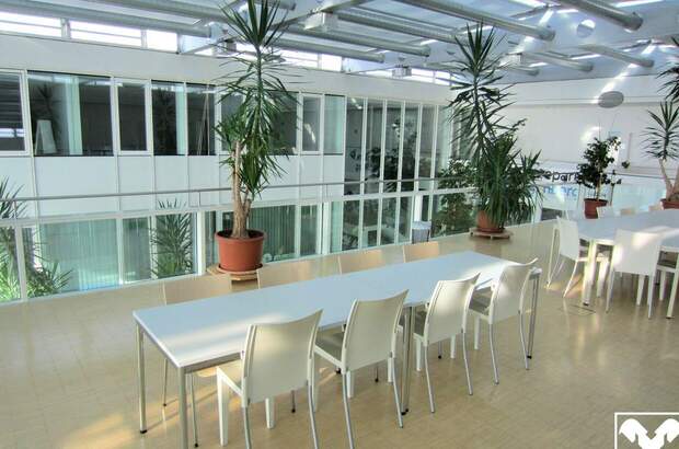 Gewerbeobjekt mieten in 4232 Hagenberg (Bild 2)