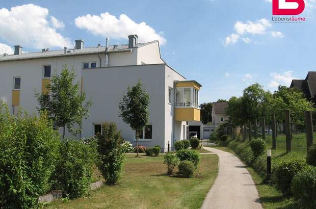 Wohnung mieten in 4502 St. Marien (Bild 2)