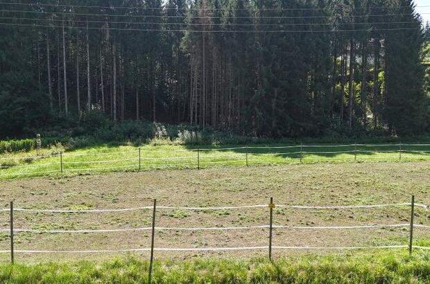 Grundstück kaufen in 4814 Neukirchen (Bild 1)