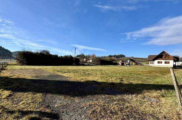 Grundstück kaufen in 8330 Oberweißenbach (Bild 3)