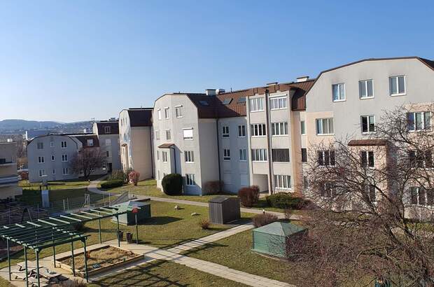 Wohnung mieten in 3500 Krems (Bild 1)