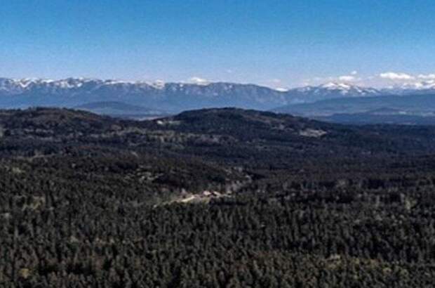 Anlageobjekt kaufen in 4923 Lohnsburg (Bild 4)