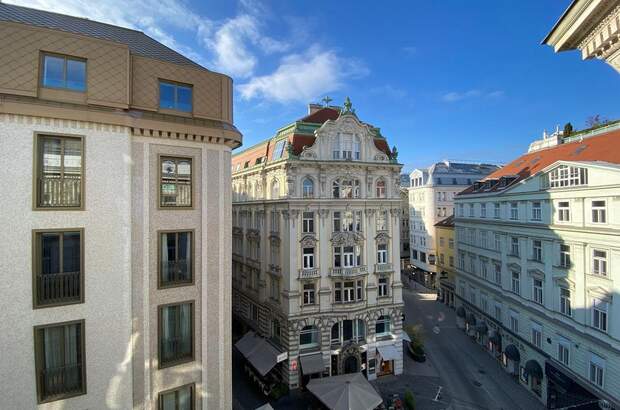 Altbauwohnung mieten in 1010 Wien