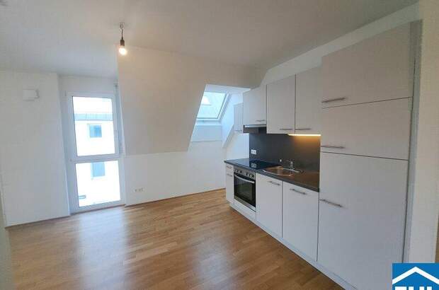 Terrassenwohnung mieten in 1230 Wien (Bild 3)