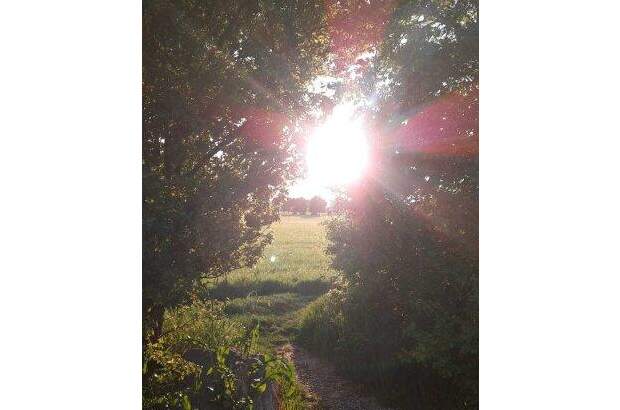 Terrassenwohnung mieten in 2331 Vösendorf (Bild 1)