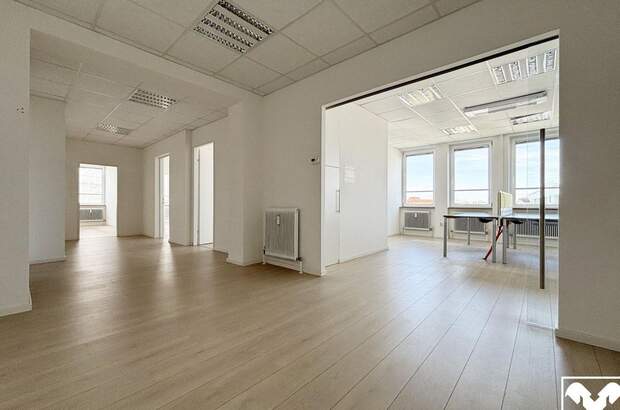 Gewerbeobjekt mieten in 4600 Wels (Bild 1)