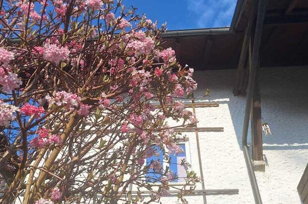 Haus kaufen in 4910 Ried (Bild 2)