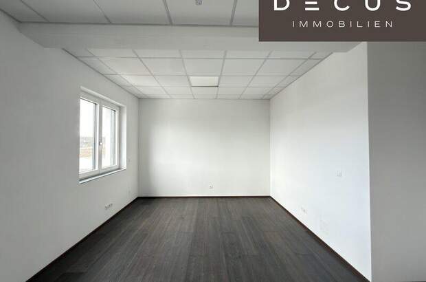 Büro / Praxis mieten in 3462 Absdorf (Bild 1)