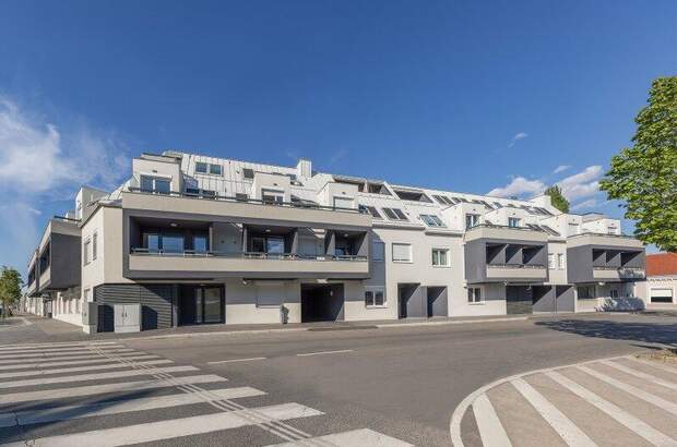 Terrassenwohnung mieten in 1100 Wien (Bild 4)