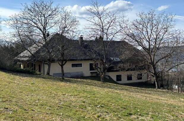 Haus kaufen in 4853 Steinbach