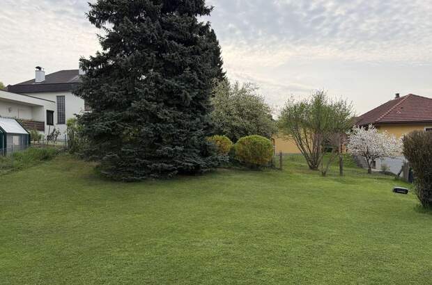 Haus mieten in 4060 Leonding (Bild 2)
