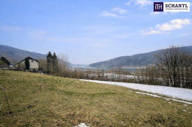 Grundstück kaufen in 3681 Hofamt Priel (Bild 5)