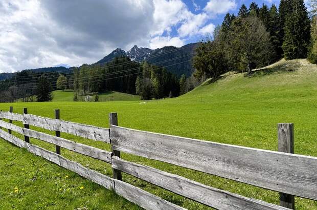 Grundstück kaufen in 8962 Mitterberg (Bild 5)