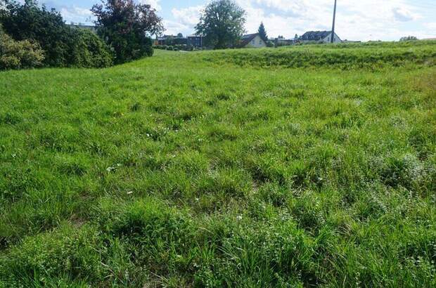 Grundstück kaufen in 4910 Ried (Bild 2)