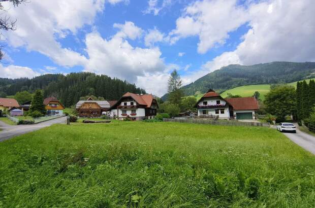 Grundstück kaufen in 8622 Etmißl (Bild 5)