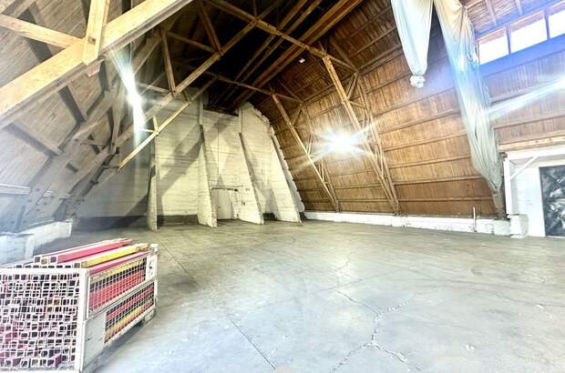 Gewerbeobjekt mieten in 4470 Enns (Bild 2)