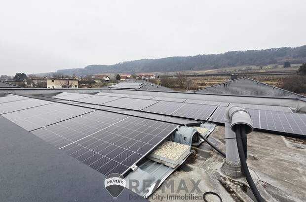 Reihenhaus kaufen in 3134 Nußdorf (Bild 4)