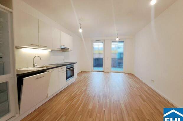 Terrassenwohnung mieten in 1030 Wien (Bild 1)