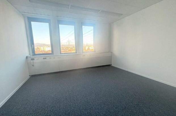 Gewerbeobjekt mieten in 2351 Wiener Neudorf (Bild 5)