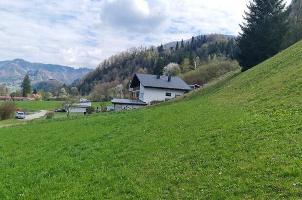 Grundstück kaufen in 4463 Großraming (Bild 4)