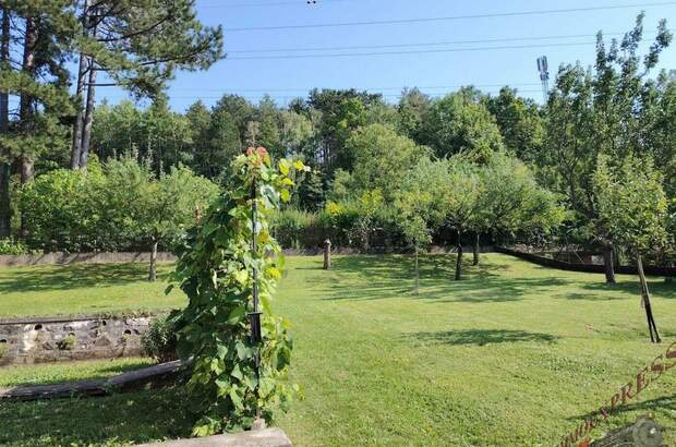 Haus kaufen in 2632 Grafenbach (Bild 3)