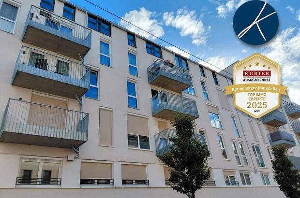 Terrassenwohnung kaufen in 1160 Wien (Bild 3)