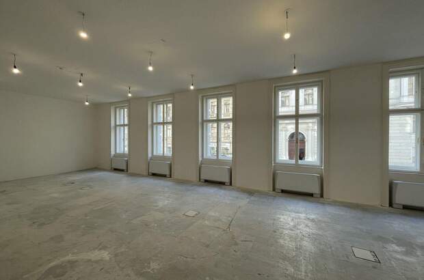 Gewerbeobjekt mieten in 1010 Wien (Bild 2)